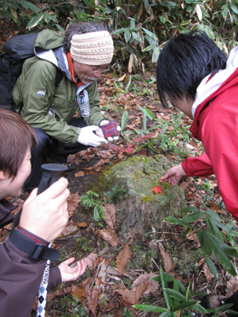 a0201204_167620.jpg
