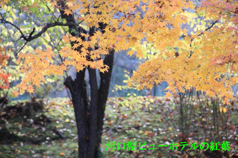 a0188405_5362538.jpg