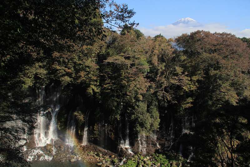 a0188405_661281.jpg