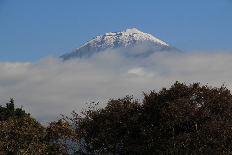 a0188405_662932.jpg