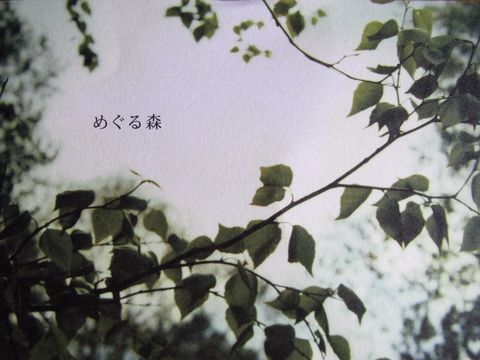 e0117805_1523056.jpg