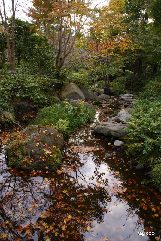 c0037611_21284461.jpg