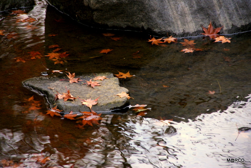 c0037611_21285115.jpg