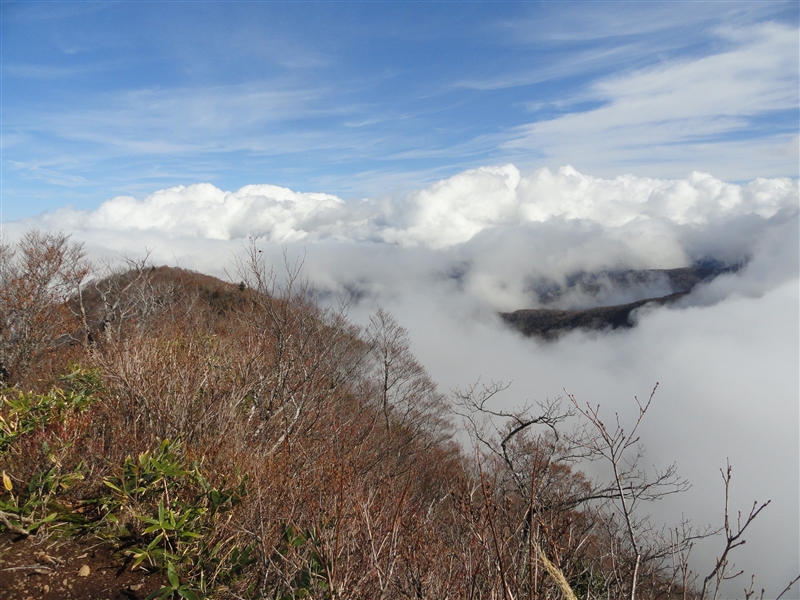 a0127015_18242490.jpg
