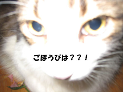 e0195115_18272888.jpg