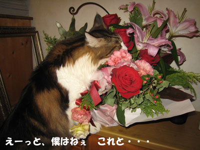 e0195115_18275233.jpg