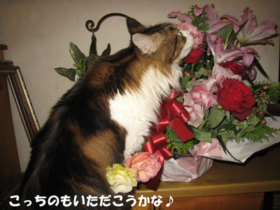 e0195115_18282851.jpg