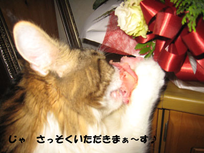 e0195115_18285938.jpg