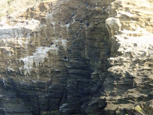 b0117718_16271217.jpg