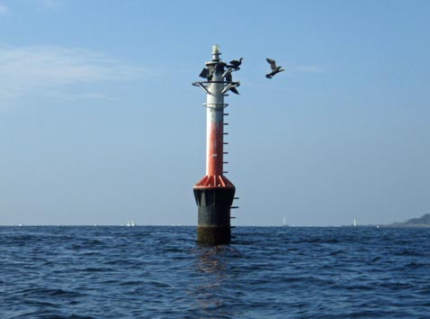 b0117718_1627648.jpg