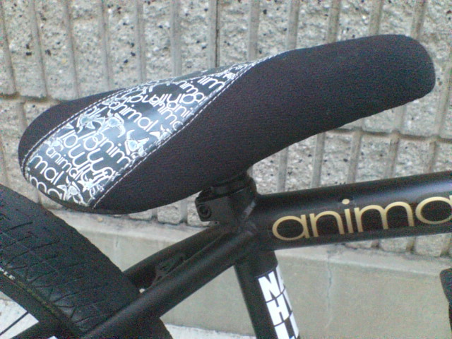 c0100318_1829774.jpg
