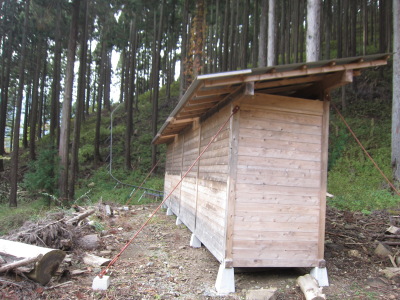 f0177521_220577.jpg