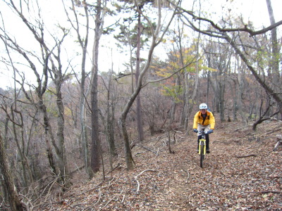 f0177521_23413070.jpg