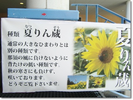 f0182121_1022620.jpg