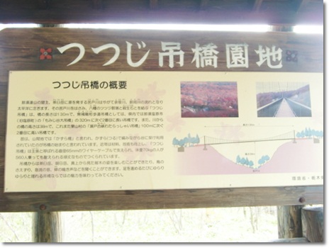 f0182121_10234840.jpg