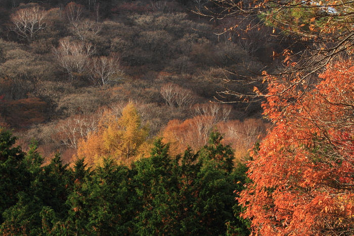 c0215627_1111867.jpg