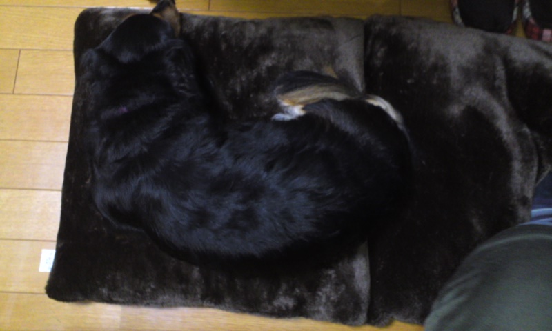 b0134529_0295072.jpg