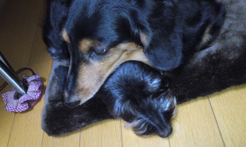 b0134529_0302629.jpg
