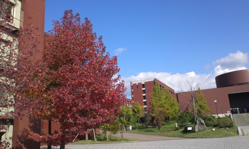 b0134529_084422.jpg
