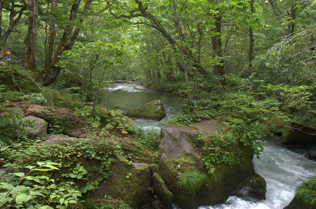 e0253132_2342143.jpg
