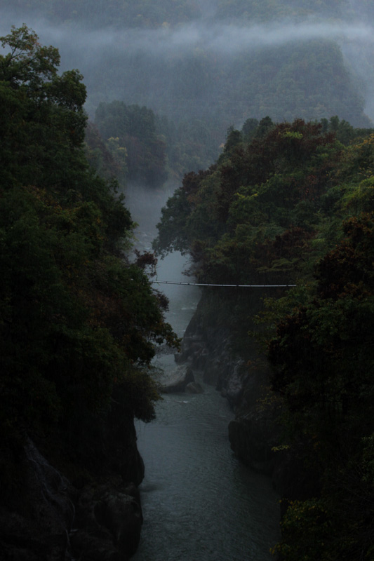 b0177233_4593640.jpg