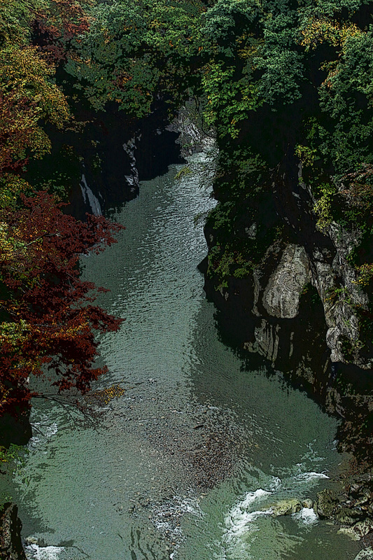 b0177233_459645.jpg
