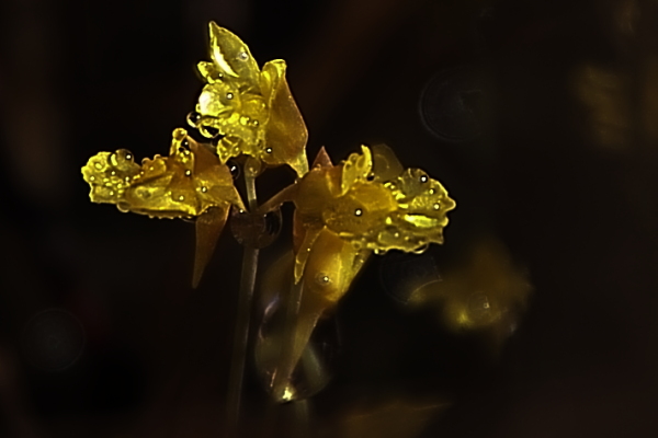 d0247340_1613355.jpg