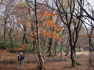 e0110940_7155063.jpg