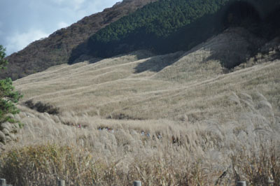 f0204440_23121698.jpg