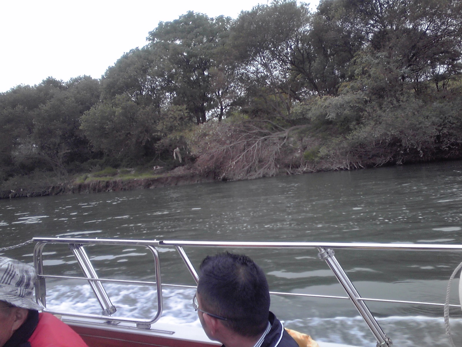 a0137142_12391831.jpg