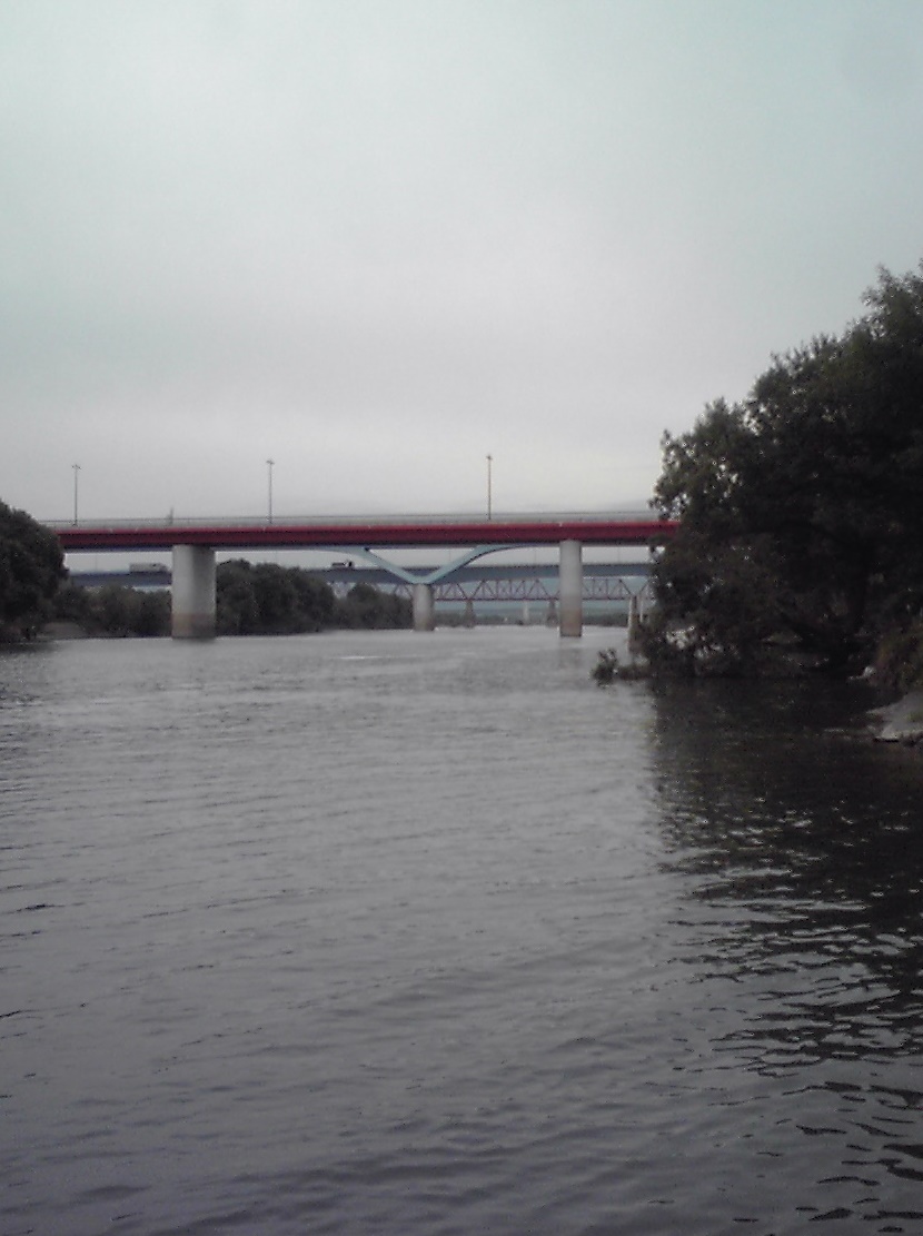 a0137142_1246033.jpg