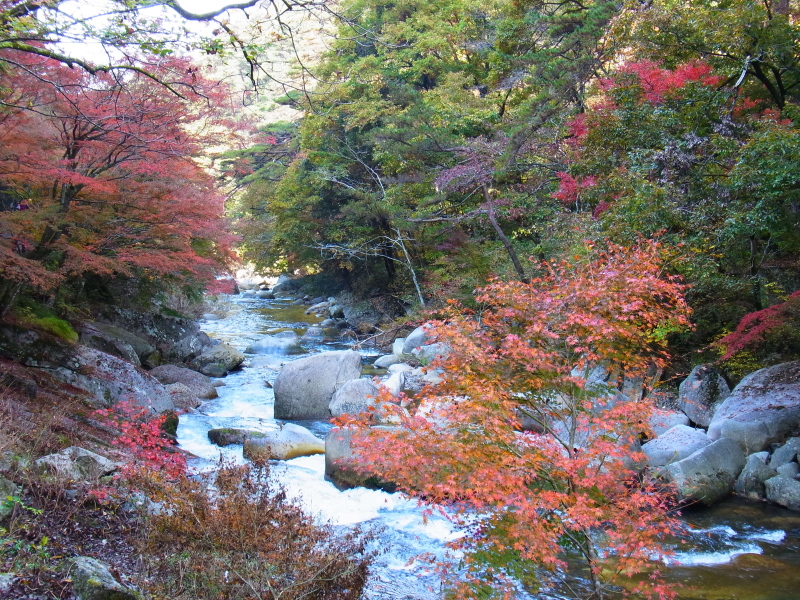 b0190242_13431298.jpg