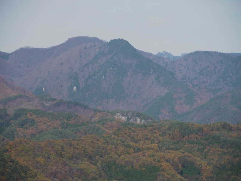 b0190242_1353579.jpg