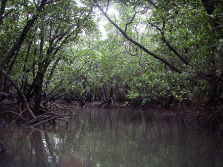 f0014842_17564470.jpg
