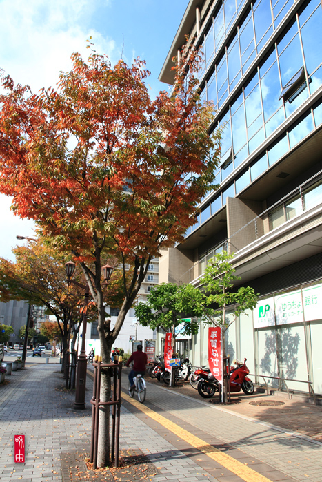 c0187744_22371636.jpg