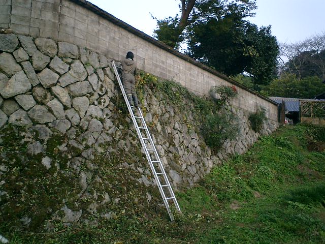 b0132746_1854652.jpg