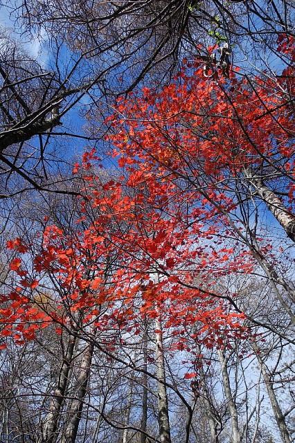 b0122448_20111024.jpg