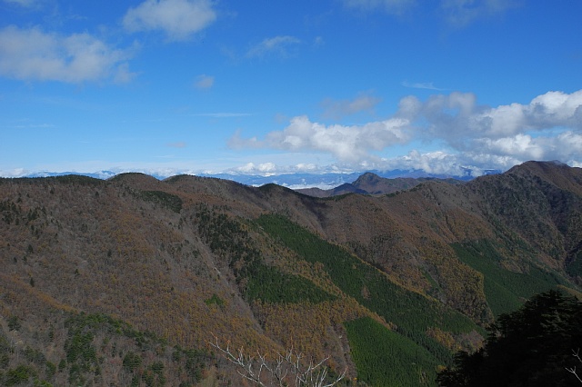 b0122448_20113089.jpg