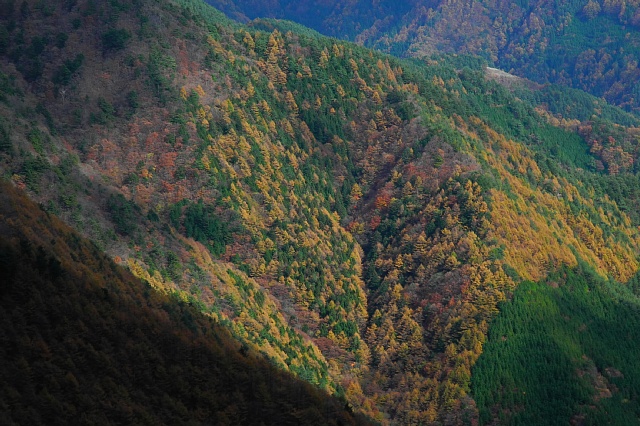 b0122448_20122564.jpg