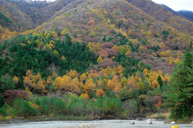 b0122448_20122957.jpg
