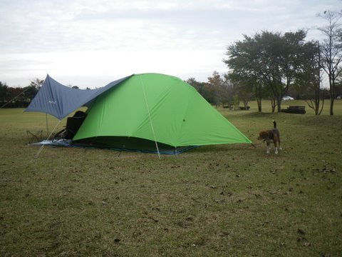f0046250_1262278.jpg