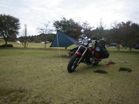 f0046250_1275897.jpg