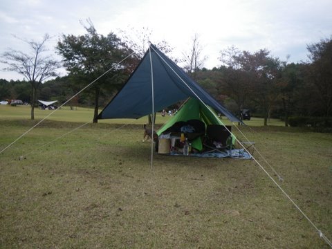 f0046250_1282376.jpg
