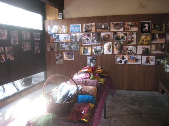 c0073152_22293291.jpg