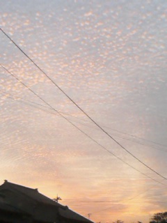 e0085052_1962740.jpg