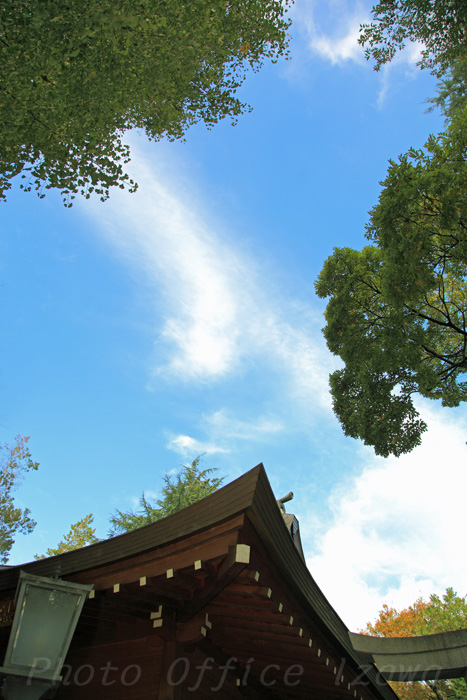 c0181958_164184.jpg
