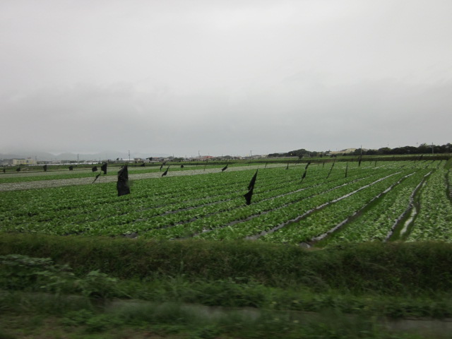 e0181260_1925845.jpg