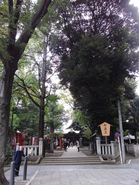d0117565_20534385.jpg