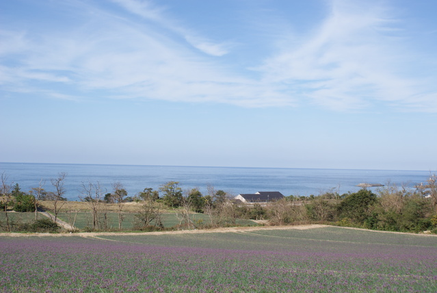 a0091666_1084775.jpg