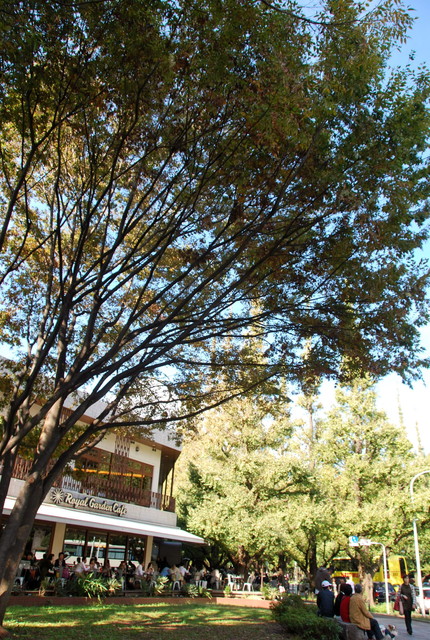 b0174068_23113014.jpg